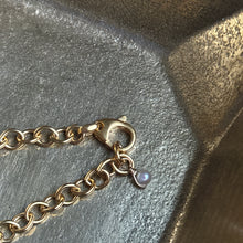Oyster Chain Neclace