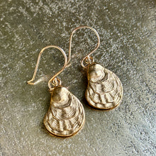 Oyster Earrings