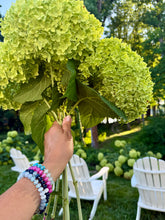 Beyond Bracelet | Pink
