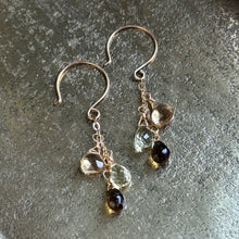 Gem Trio Earrings | Brown