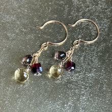 Gem Trio Earrings - Garnet