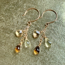 Gem Trio Earrings | Brown