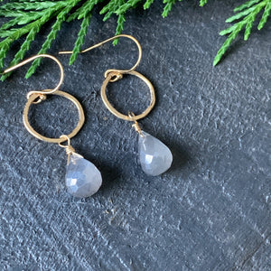 Sarina Earrings / Gray