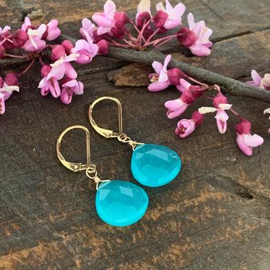 Aruba Earrings / Blue