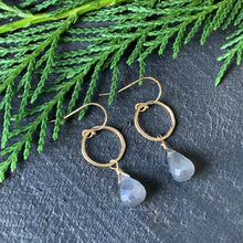Sarina Earrings / Gray