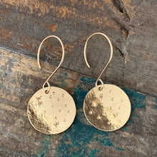 Cosmos Earrings