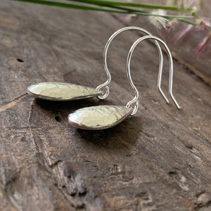 Silver Drop Earrings