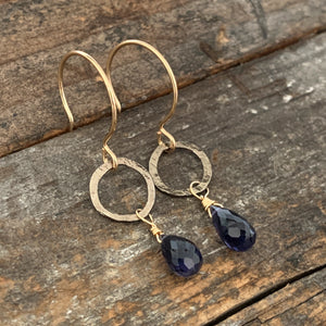 Sarina Earrings / Gunmetal + Iolite